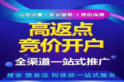 解析SEM竞价代运营的成功要素及案例